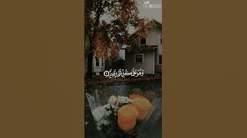 #تلاوة_رائعة #تلاوة_خاشعة #تلاوة_هادئة #تجويد الشيخ #سعد_الغامدي #الغامدي #السعودية #مصر #الجزائر
