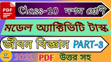 Class 10 Life science Model Activity Task Part 3 | Model Activity Task Class 10 Life science Part 3