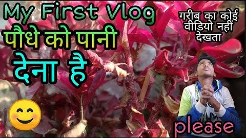 My First Vlog || #myfirstvlog #my_first_vlog_on_youtube #myfirstvlog2022