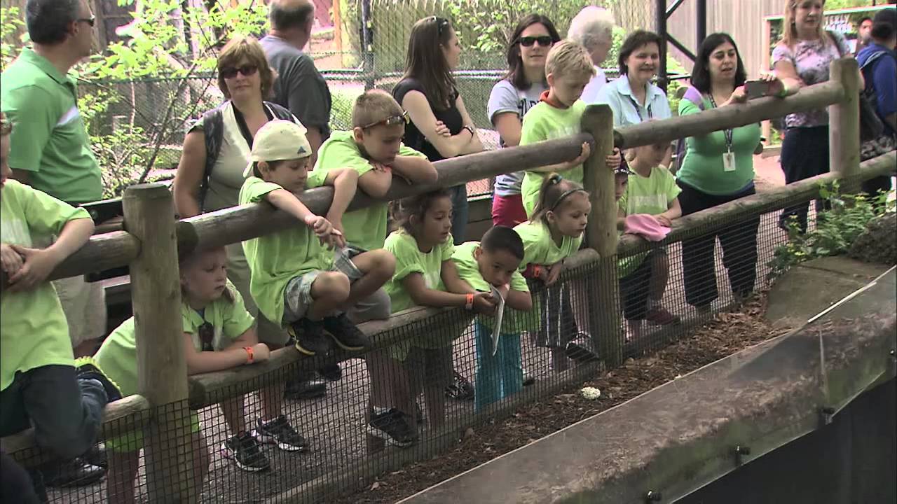 Beardsley Zoo // Connecticut's Cultural Treasures
