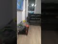 time lapse #meme