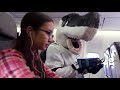 Alaska Airlines featuring  SJ Sharkie #SharksOnAPlane