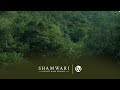 The Biome&#39;s of Shamwari Private Game Reserve Part 1: Forest and Albany Thicket