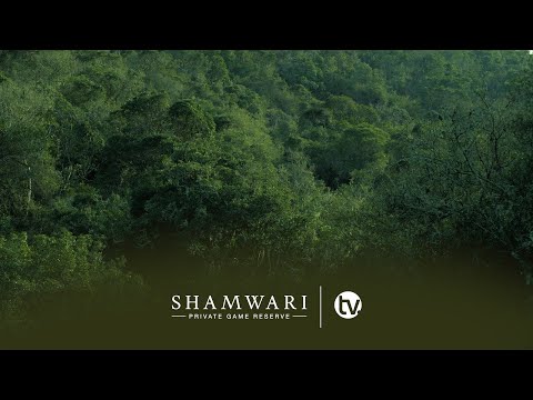 The Biome&rsquo;s of Shamwari Private Game Reserve Part 1: Forest and Albany Thicket