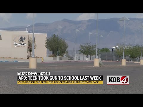 Student released after bringing gun to Volcano Vista High School