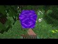 Minecraft But It's Cursed...
