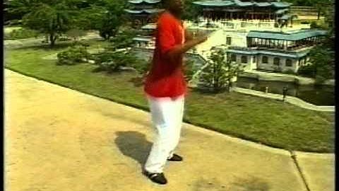 Jason Tankson-Bourelly teaches Roundkick backfist reverse punch