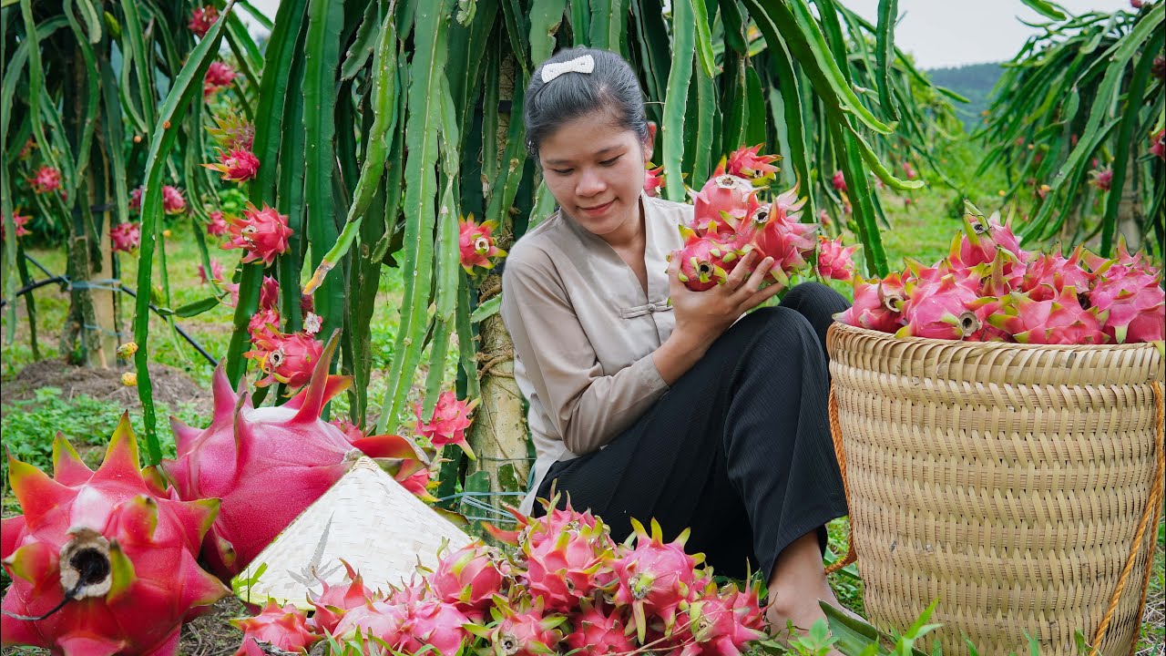 Summer drinks, refreshing and cooling with family