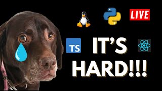 🔴Live Coding ♾️ GoLang Python Typescript projecct #coding #projects