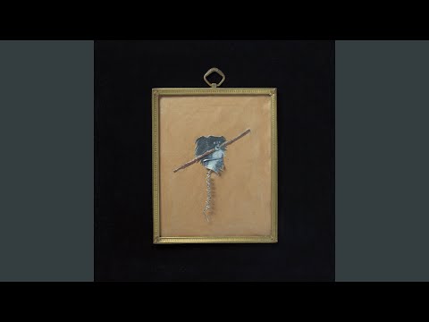 The For Carnation — I Wear The Gold