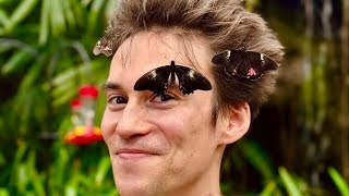 Jacob Collier - Heaven (Butterflies) (Lyrics)