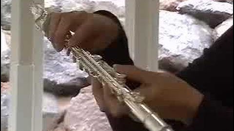 How to hold your flute--from World Wide Instruments.com
