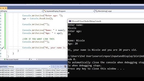 VISUAL STUDIO ||  Input and Display
