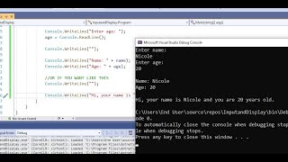VISUAL STUDIO ||  Input and Display