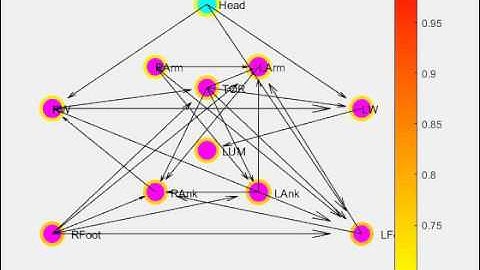 MOCO - Weighted Directed Graph of PNS/Body Network; metronome condition
