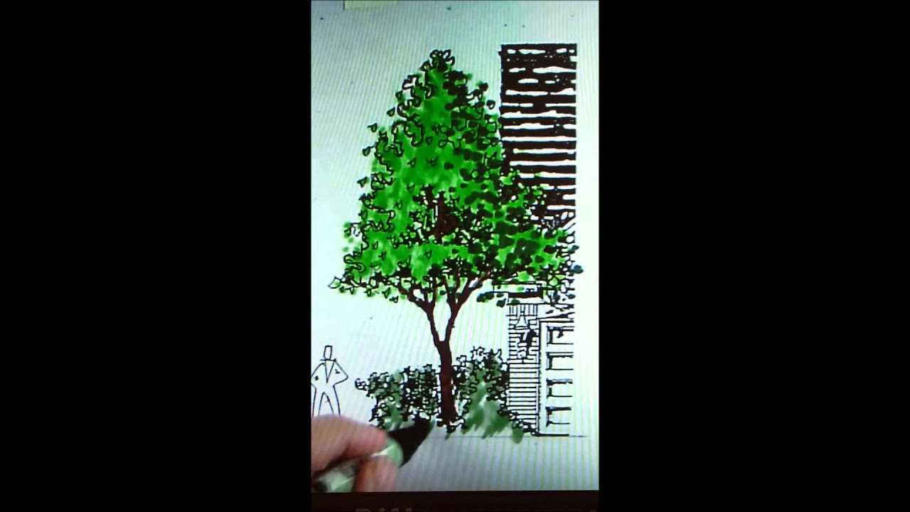 Tree Rendering - YouTube