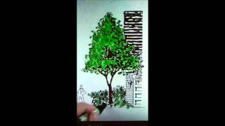 Tree Rendering