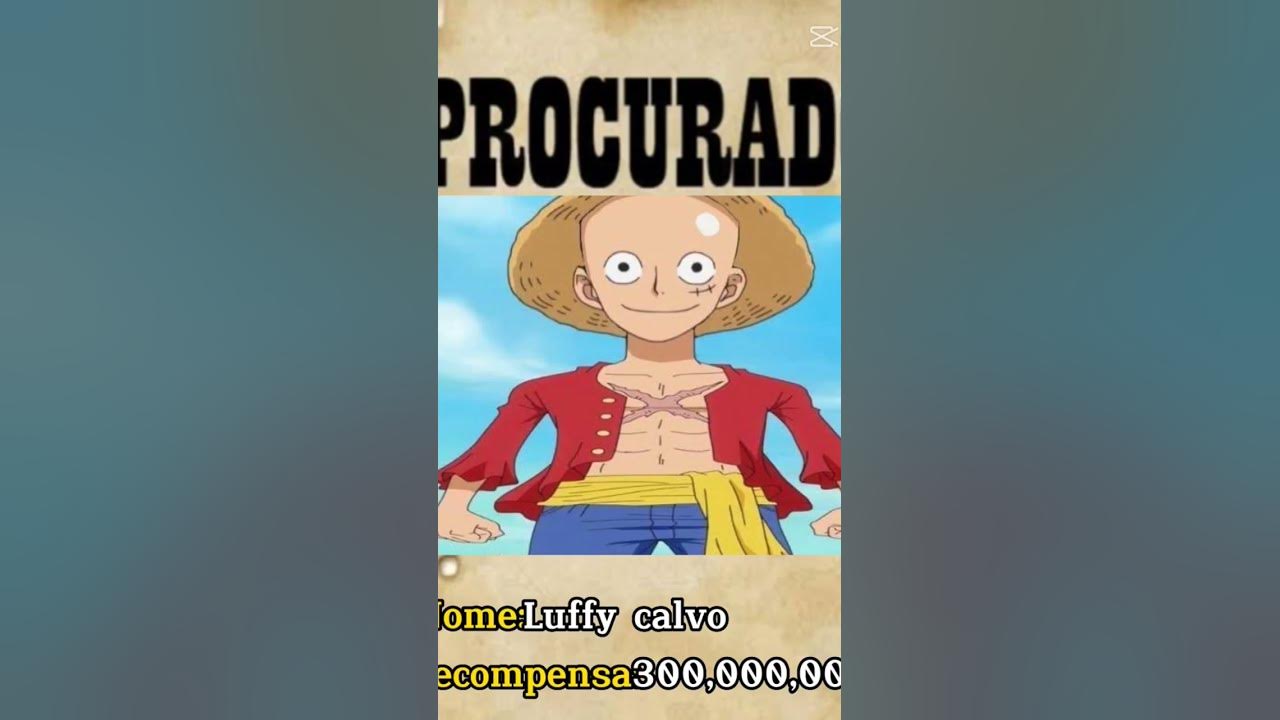 Luffy calvo 