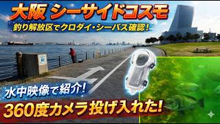 RM様ご確認中 釣りビジョン 扇子 魚心あれば水心 大阪最強説】釣り解放区にカメラ投入→クロダイの魚影がエグすぎた