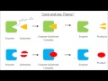 Enzymes &amp; Factors Affecting Enzymes | GCSE Science | Biology | Get To Know Science