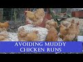 Avoiding Muddy Chicken Runs