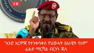Army Chief F.M. Birhanu proclaims “End of Special Force” Ethiopian Plane  Saved by U-Turn from Sudan