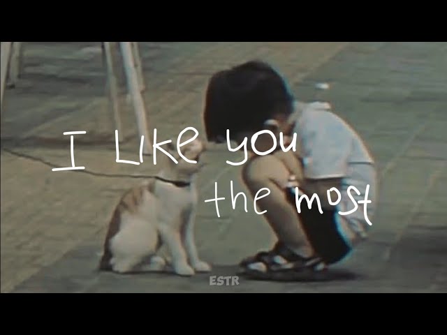 I like you the most - Ponchet ft Virinz | Cover by SHAD (English Version) | Lyrics | Estr class=