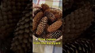 Handmade Fall Wreath | Best out of waste #shorts #easycraft #diy