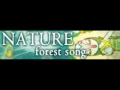 NATURE 「forest song」