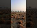 #bollywood #shortvideos #travel #viralvideos