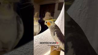 Mehter Marşı 🇹🇷 Resimi