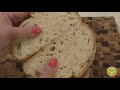 Ароматы Прованса. Хлеб с холодным аутолизом. The Flavors Of Provence. Bread with cold autolysis