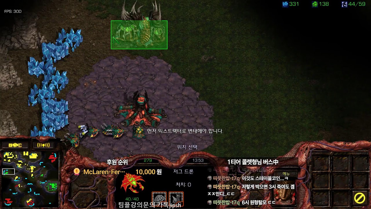 [스틱] 오후생방 스타 헌터 팀플 스타크래프트 늑대77연승 기록방송 StarCraft 2026.03.05 목요일