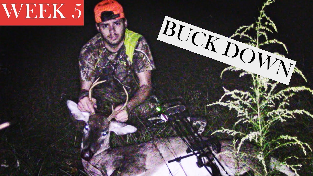 SC DEER HUNTING Buck at 11 yards (Buck Down!!) YouTube