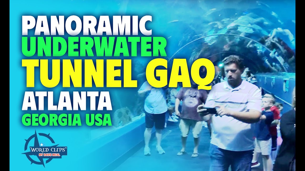 🐠 Dive into Fun at the Aquarium Explore Underwater Wonders and