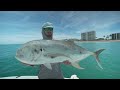 48 Hrs Chasing Every Popular Florida Fish! Catch Clean & Cook
