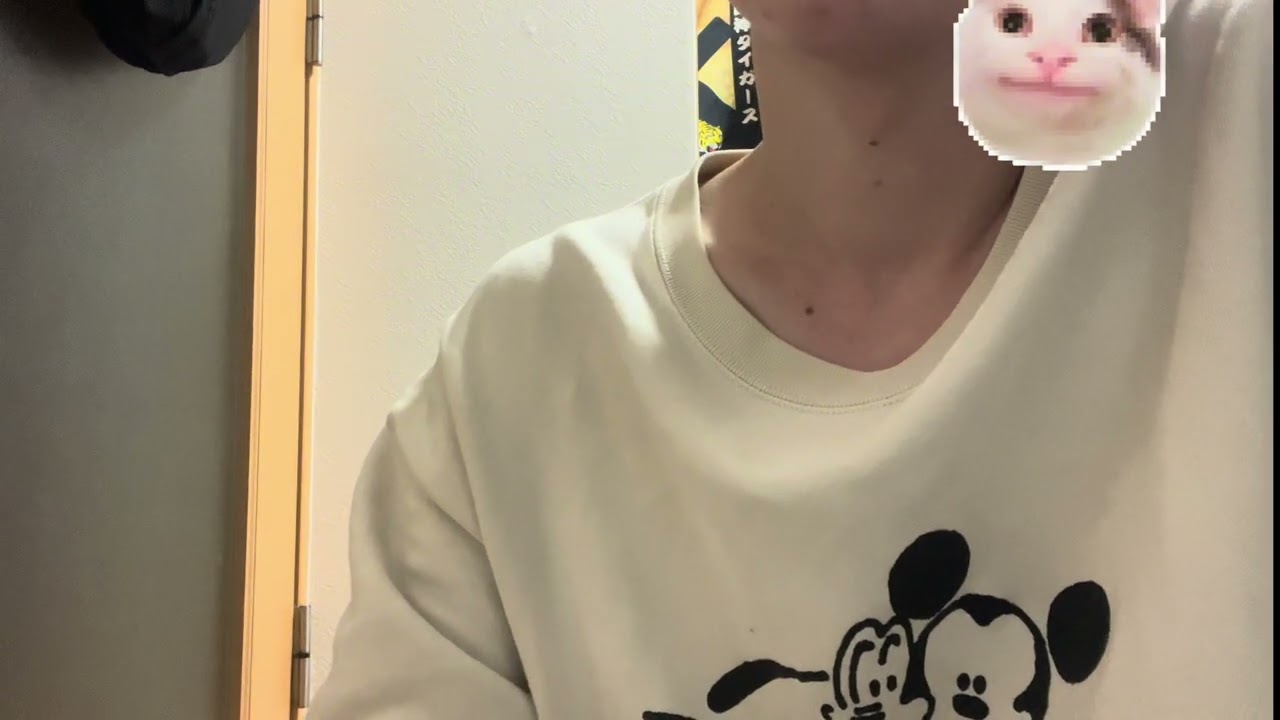 のんびり社会人です