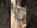 304 Stainless Steel Parrot Cage A80 110x80.5x144cm | Premium Large Bird Cage for Parrots 🦜✨ #parrot