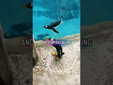 تحدي الفلتر