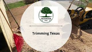 Tree Service in Georgetown, Texas | Trimming Texas