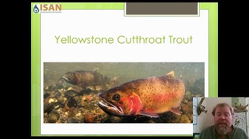 All About Keystone Species