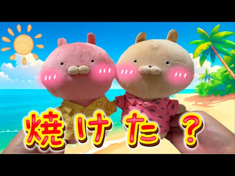 まるうさぎさま　おまとめ2点　オーガンジードッキングプルオーバー 101768-1.jpg