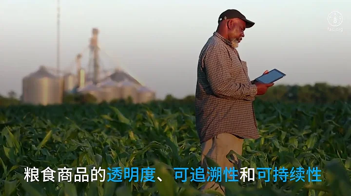 区块链如何助力推动农业粮食体系转型？ - 天天要闻
