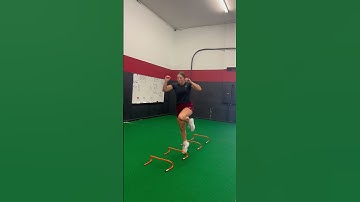 Single Leg Linear Hurdle Hop