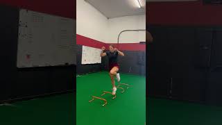 Single Leg Linear Hurdle Hop
