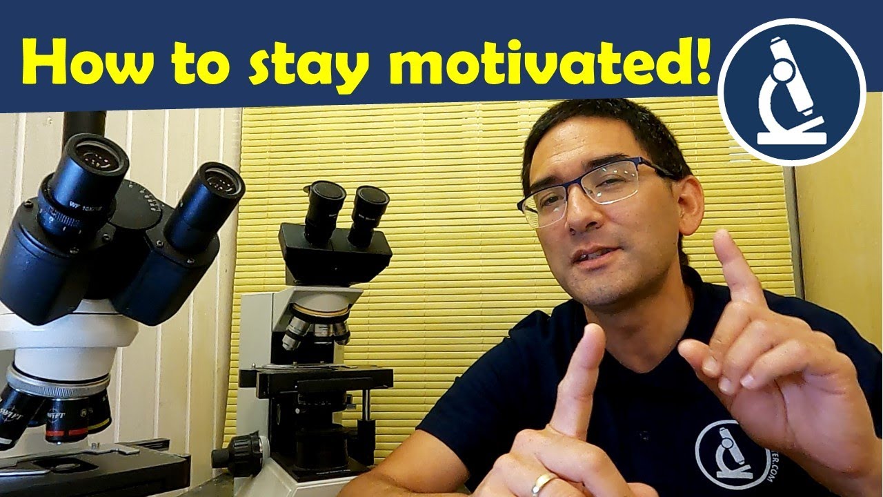 How to stay motivated in hobby microscopy 🔬 Amateur Microscopy YouTube