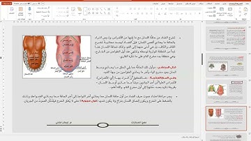 033- حافة اللسان: الضاد 2 (فن تجويد الحروف)