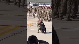 She Was Gone For 366 Days. Then Her Dog Did THIS. #shorts #military #reunion