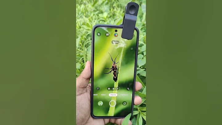 BUTIFUL🐛 INSECT PHOTOGRAPHY II NATURE 🐛🐞💯 PHOTOGRAPHY II #nature #insects #ytshorts #edit