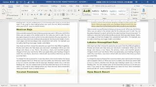 WD-01-20 — Quick Style Formatting: Fast, Consistent, and Professional Document Styling Profile